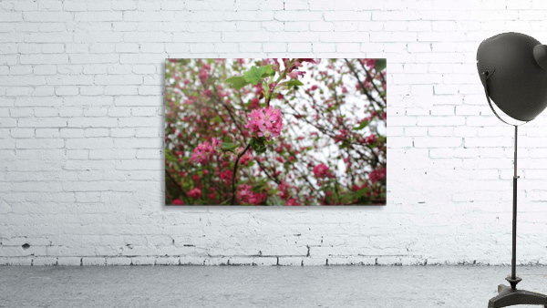 Flowering Wall Preview