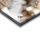 Baby Deer brown Acrylic print