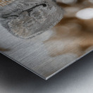 Baby Deer brown Metal print