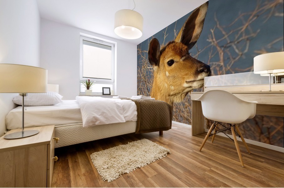 Young Nyala female 127 Mural print