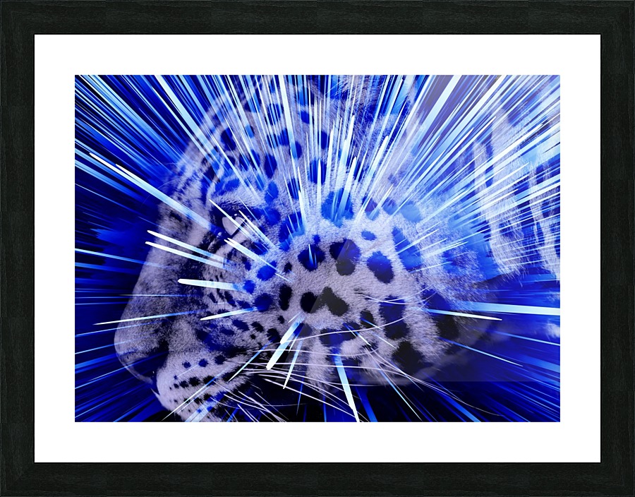 Leopard pop 4  Picture Frame print