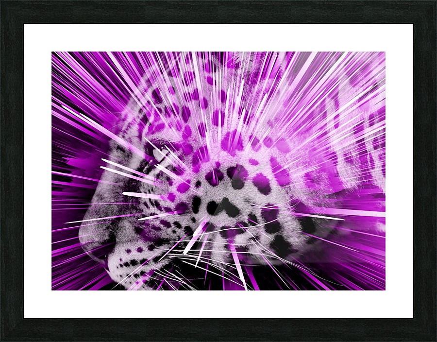 Leopard pop 3 Picture Frame print