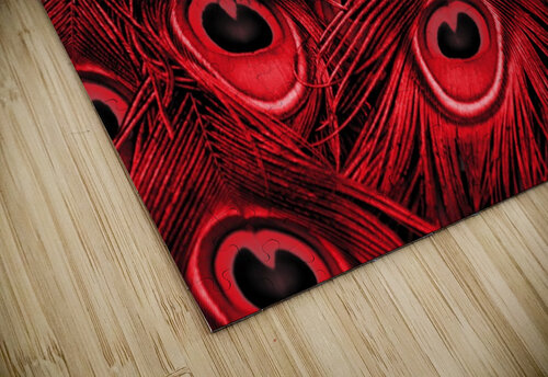 Peacock Feather black red Thula-Photography puzzle
