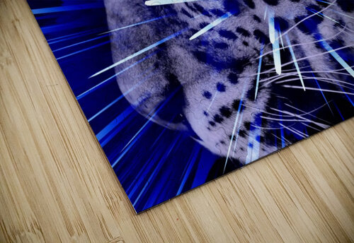 Leopard pop 4  Thula-Photography puzzle