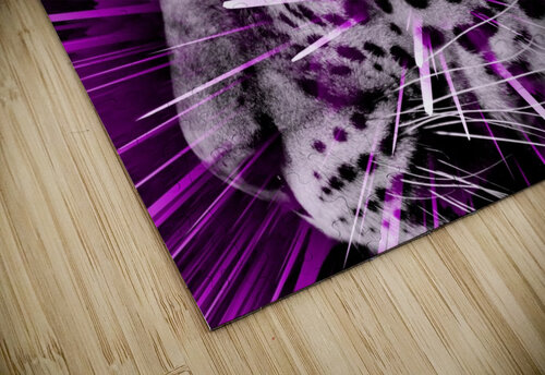 Leopard pop 3 Thula-Photography puzzle