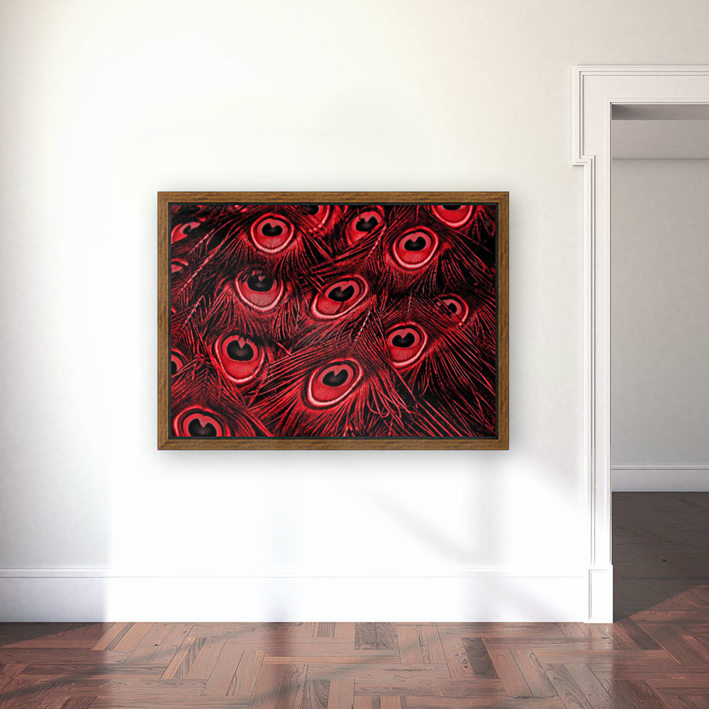 Peacock Feather black red Reproduction