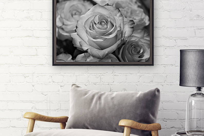 Roses b+w Reproduction