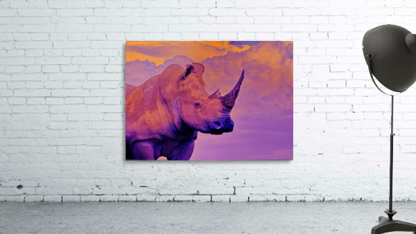 White Rhino orange purple Wall Preview