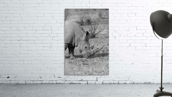 Rhino 6650 Wall Preview