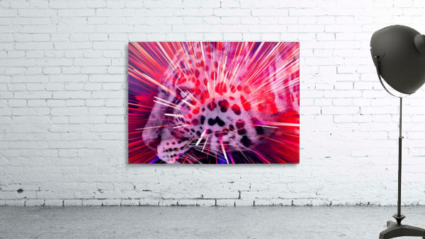 Leopard pop 6 Wall Preview