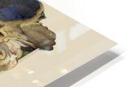 Metamorphosis HD Metal print