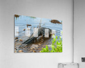  MG 8919 Acrylic Print