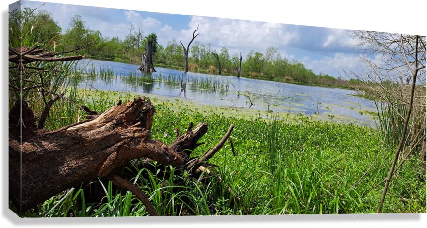 Scenic lake Canvas Print