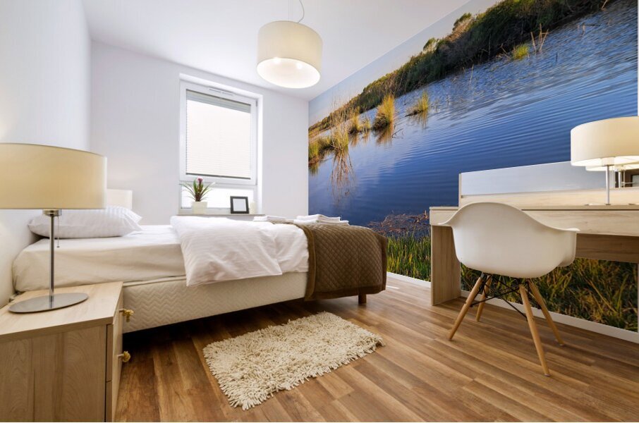 Reflection Off Water Mural print