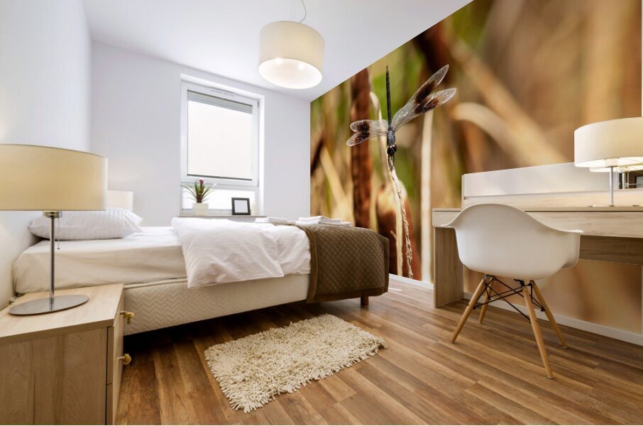  MG 8718 Mural print
