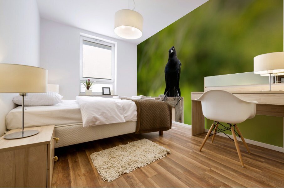  MG 9068 Mural print