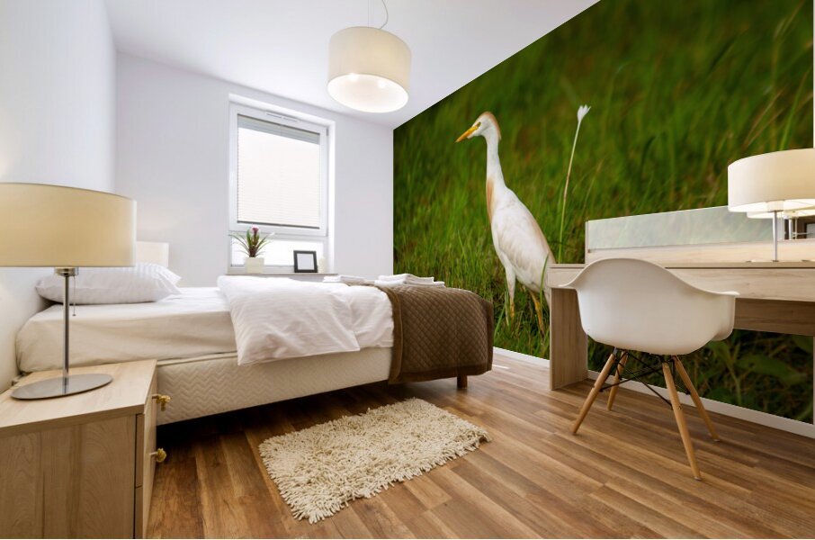  MG 8484 Mural print