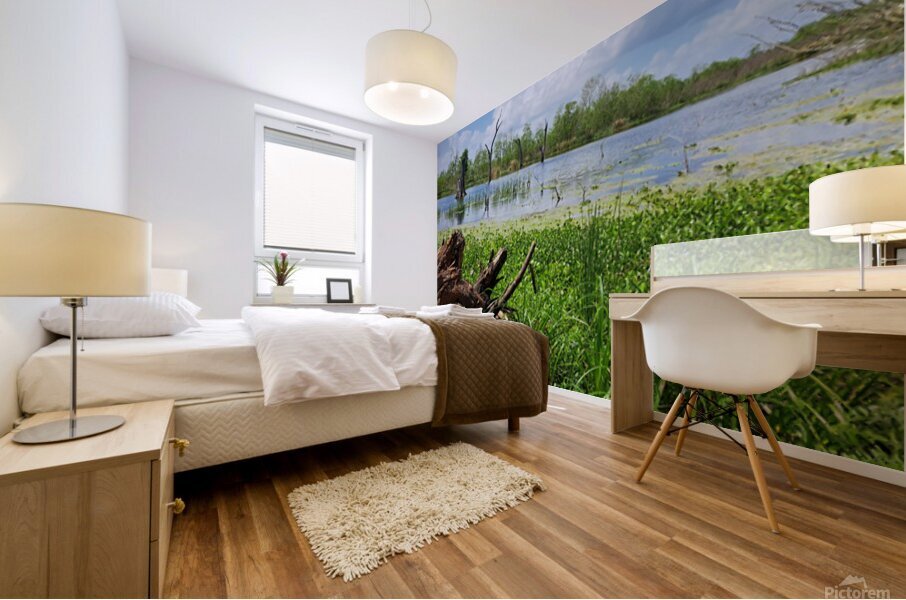 Scenic lake Mural print