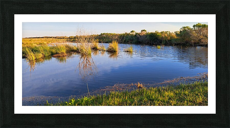 Reflection Off Water Picture Frame print