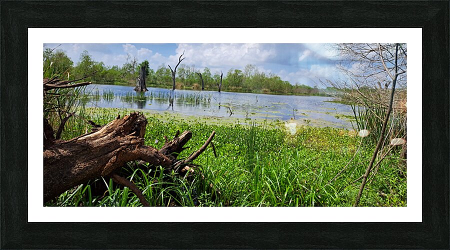 Scenic lake Picture Frame print