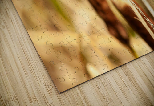  MG 8718 Matthew Adams puzzle