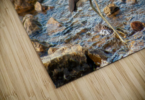  MG 8934 Matthew Adams puzzle