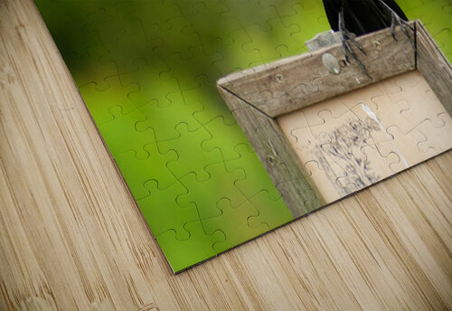  MG 9068 Matthew Adams puzzle
