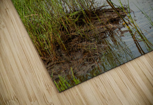  MG 9013 Matthew Adams puzzle