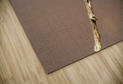  MG 8763 Matthew Adams puzzle