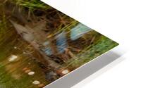  MG 9013 HD Metal print