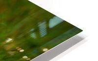  MG 8484 HD Metal print