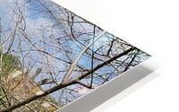 Scenic lake HD Metal print