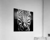 Nu Expressionism Acrylic Print