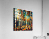  Nu Expressionism Acrylic Print