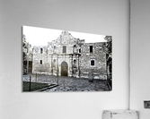  Nu Expressionism Acrylic Print