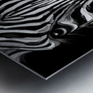 Nu Expressionism Metal print