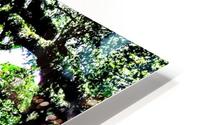  Nu Expressionism HD Metal print