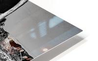  Nu Expressionism HD Metal print