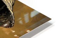 Nu Expressionism HD Metal print