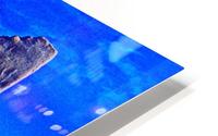  Nu Expressionism HD Metal print