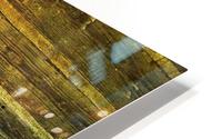  Nu Expressionism HD Metal print