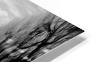 Nu Expressionism HD Metal print