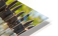 Nu Expressionism HD Metal print