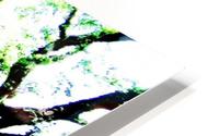  Nu Expressionism HD Metal print