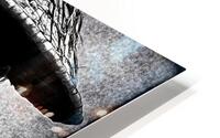  Nu Expressionism HD Metal print