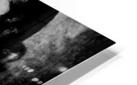 Nu Expressionism HD Metal print