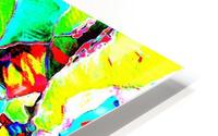  Nu Expressionism Impression metal HD