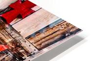  Nu Expressionism HD Metal print