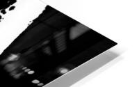 Nu Expressionism HD Metal print