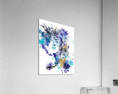 Thought Acrylic Print